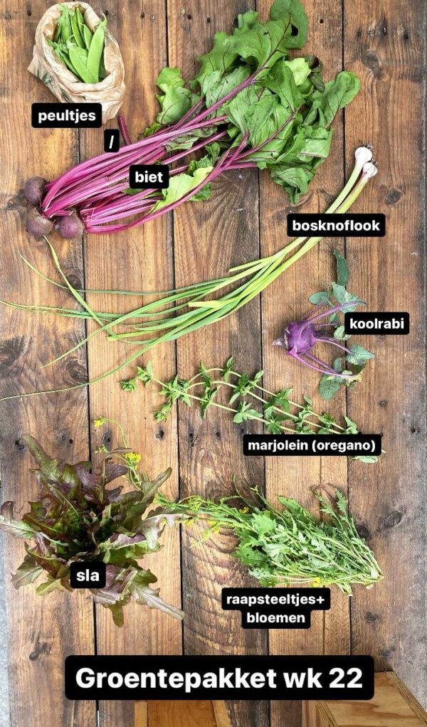Groentepakket 2025 - Afbeelding 4