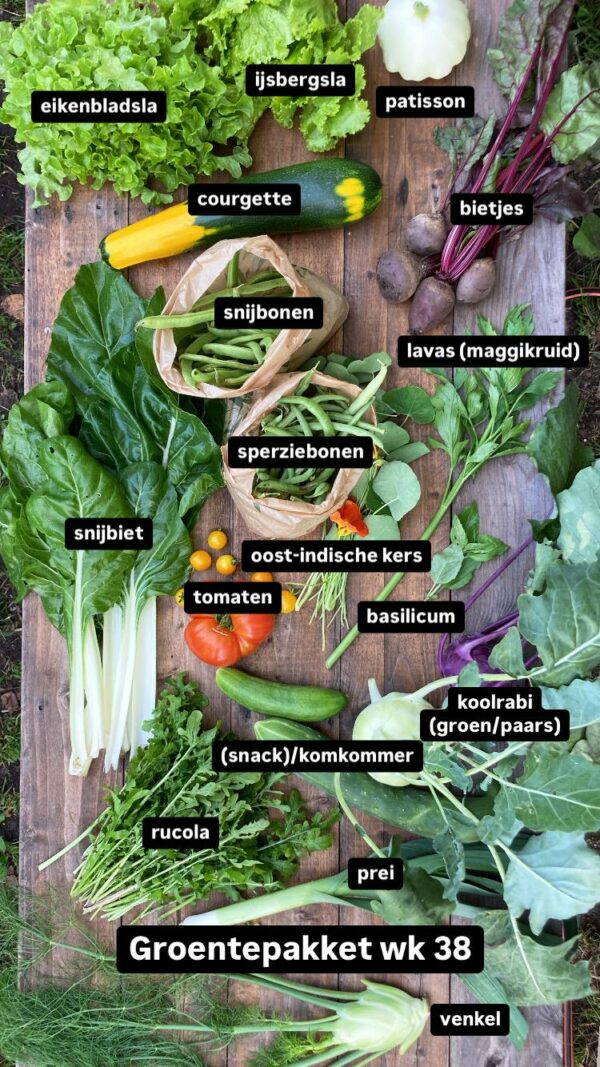 Groentepakket 2025 - Afbeelding 10