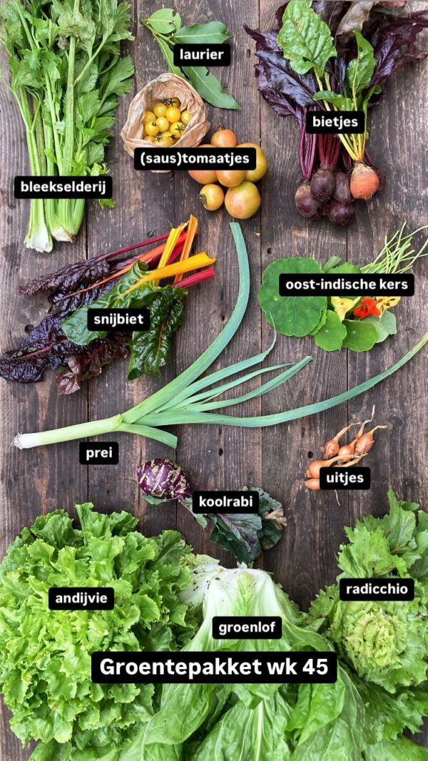Groentepakket 2025 - Afbeelding 13