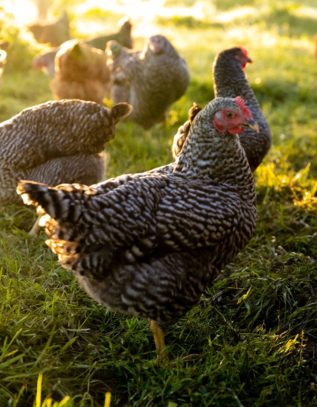 20230503_065748_IH-e1703283441430