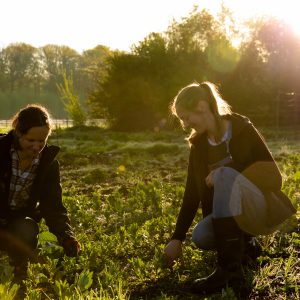 Introductie Regeneratieve Landbouw - 6 juni 2026