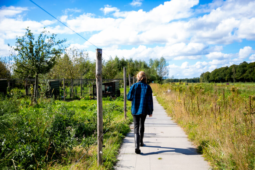 20240913_130523_IH-1024x683