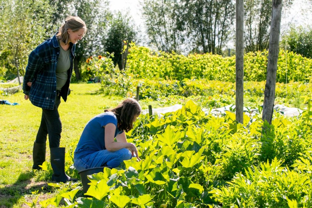 no dig tuinderij