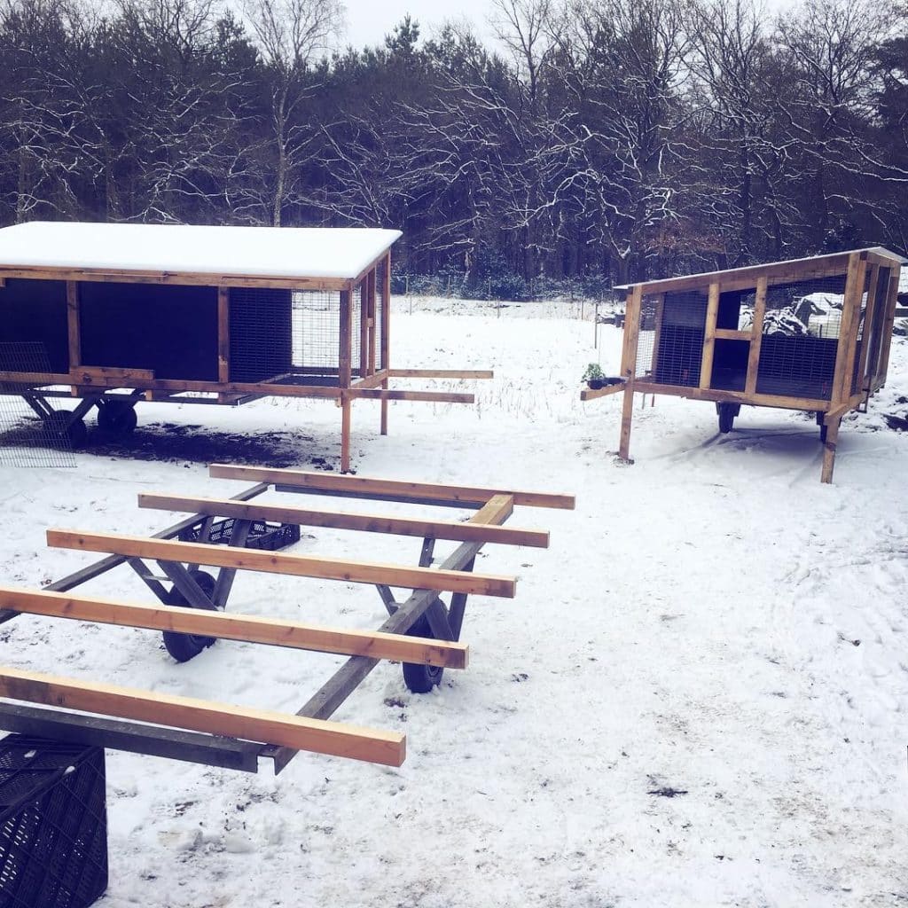 756C76BB-EFFD-4EA5-BDB6-DDC98CFD2471-1024x1024