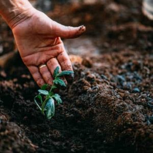 Dagcursus Bodemleven - 30 maart 2026