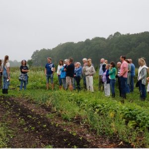 Rondleiding - 13 juni 2026