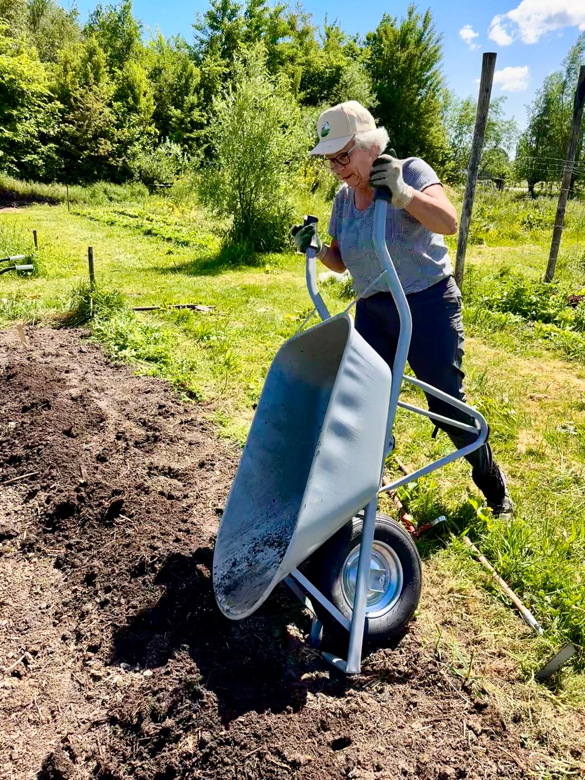 vrijwilliger helpt in de no-dig moestuin