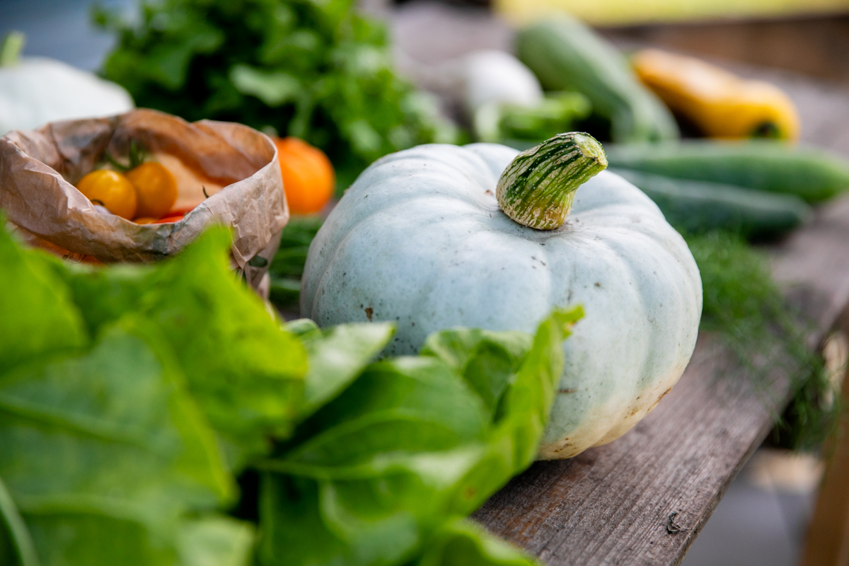 Workshop-pakket Vier seizoenen | Oogst verwerken