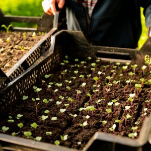 Workshop opkweek - 18 april 2026