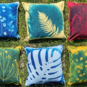 Workshop Cyano & planten | Afdruk op kussenhoes - 20 juni 2026