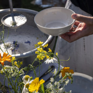 Lunch | Vers van ons land - 9 mei 2026