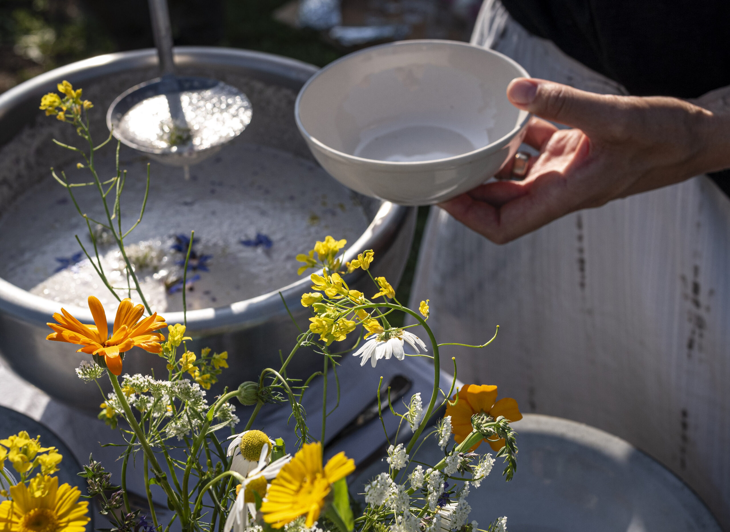 Lunch | Vers van ons land - 9 mei 2026