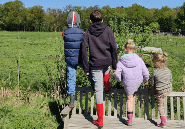 schoolexcursie op natuurboerderij KipEigen in Loosdrecht