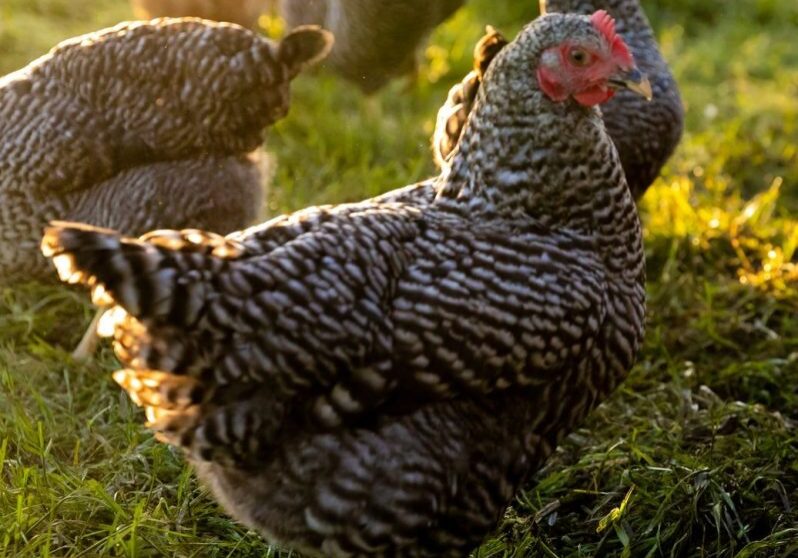 20230503_065748_IH-e1703283441430