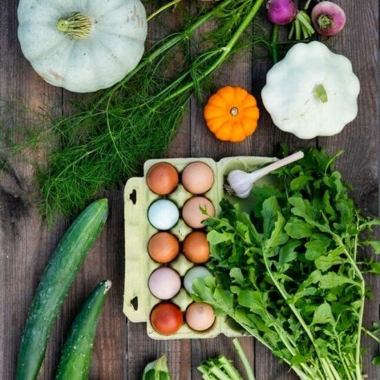 20240913_124723_IH-e1733930646838