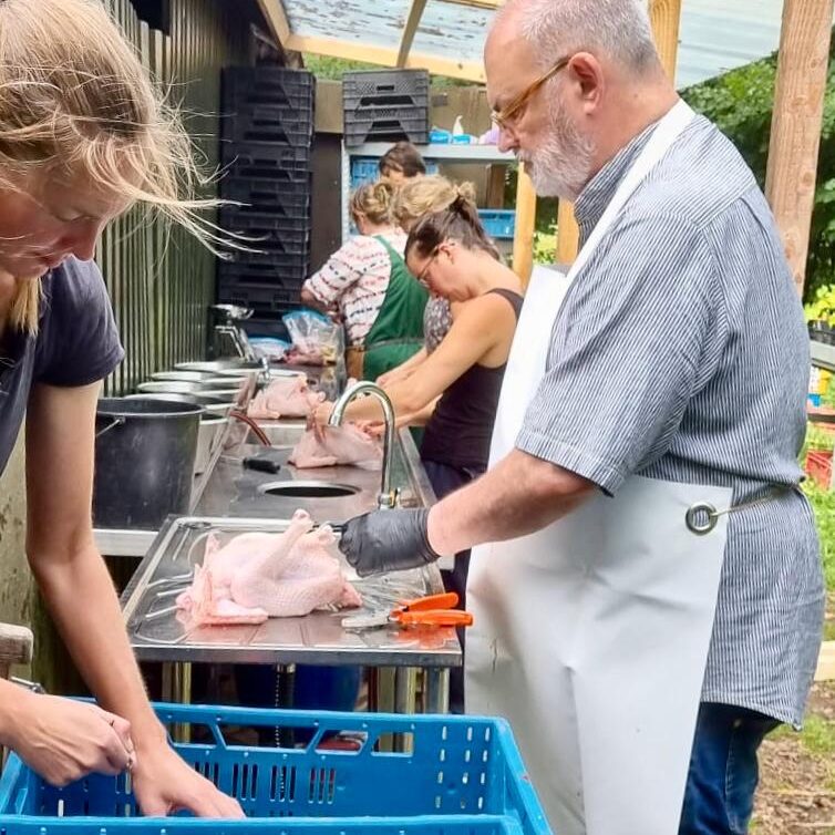 Workshop-kip-slachten